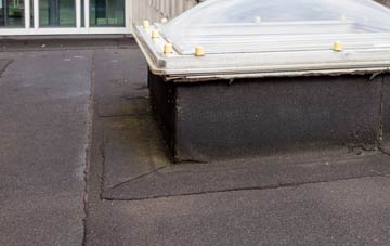 disadvantages of Eardiston flat roofs