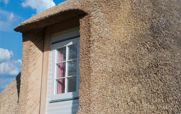 Eardiston thatch roof disadvantages